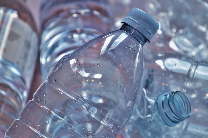 Eco-Friendly Brands